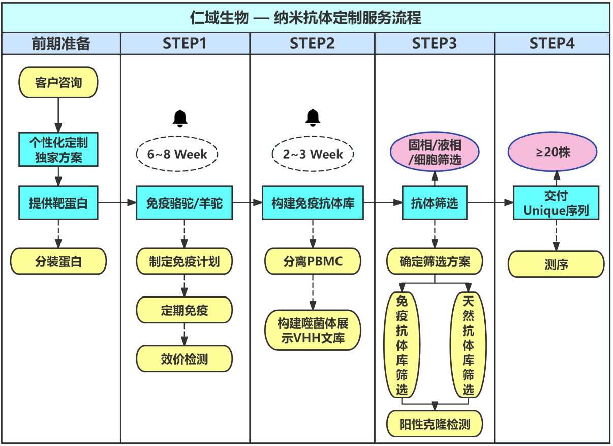 納米抗體定制-3.png